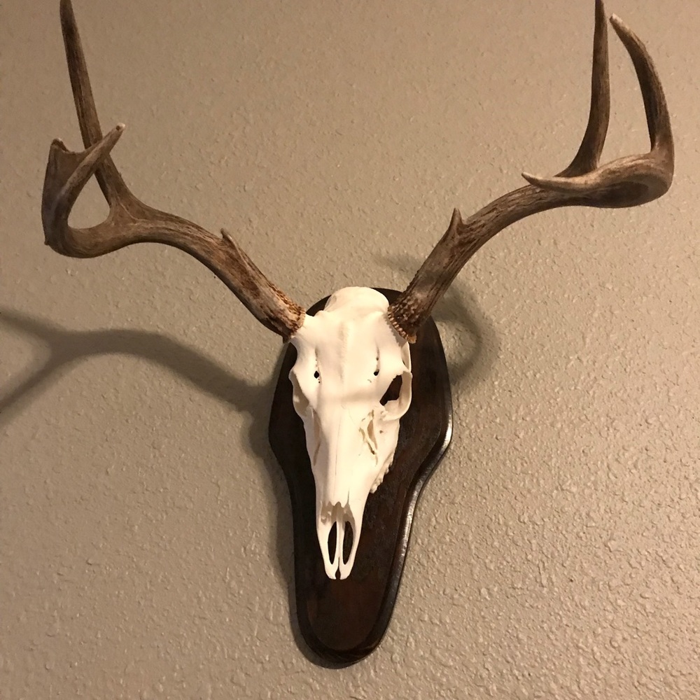 Meet your Posher, Jarrett